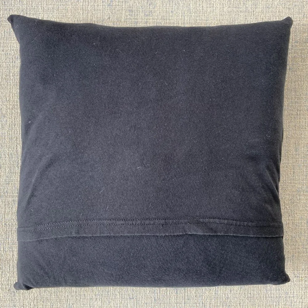 Star Wars Luke I am your Father Darth Vader Handmade 16x16 throw pillow cover